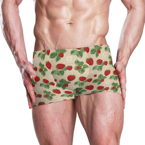 Strawberry Fruit Flowers Mens Swim Trunk Swimwear Bathing Suit Swim Brief Square Leg Board Short S B04051572