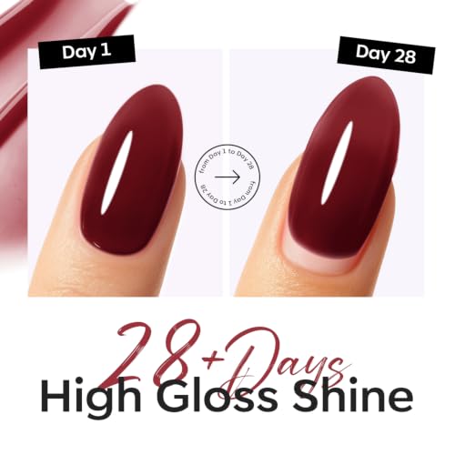 Image of modelones Jelly Burgundy Builder Nail Gel Top Coat Gel Polish in One 15ML | No Wipe Top Coat Sheer Wine Red Self Leveling Apex Buidling Ultra Glossy Long Lasting U V Cure Fall Manicure Gift for Women