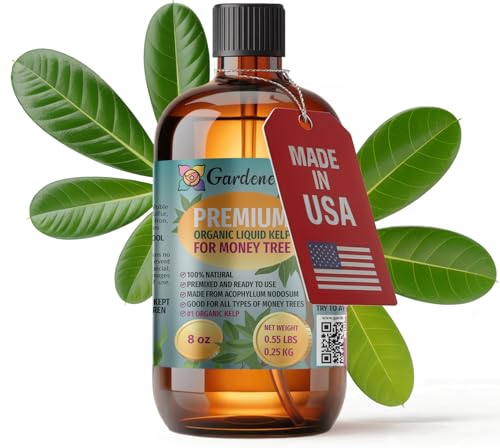 Gardenera Kelp Superfood