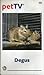 Produktbild Degus - PET TV