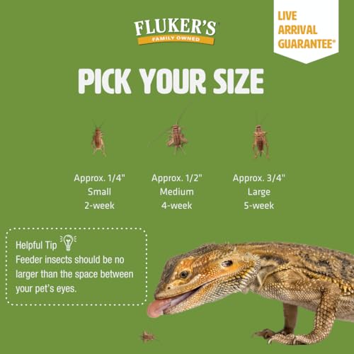 Fluker\'s Live Crickets, 1000 Count Feeder Insects for Reptiles, Chickens, and Birds, Medium (Approx. 1/2\")