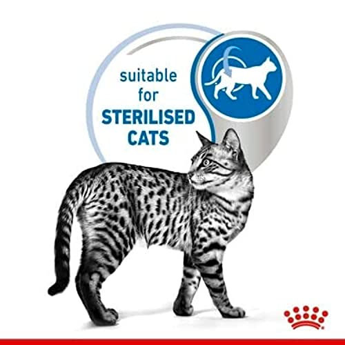 Royal Canin Indoor Sterilised in Gelee | Doppelpack | 2 x 12 x 85 g | Alleinfuttermittel für ausgewachsene Katzen die im Haus Leben | Für sterilisierte Katzen | Häppchen in Gelee