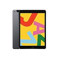 Apple iPad (10.2', Wi-Fi + Cellular, 128GB) - Grigio Siderale (Modello Precedente)