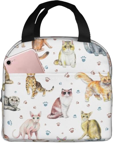 lRƑ ۗ⃉`obO ٓ 킢 e ܂ y RpNg fMA~V[g |Pbgt g[gobN