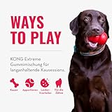 KONG Extreme Dental Hundespielzeug - Kauspielzeug aus Naturkautschuk für die Zahnpflege - Reinigt Zähne und Zahnfleisch - Für große Hunde