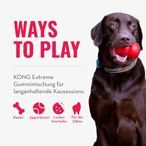 KONG Extreme Dental Hundespielzeug - Kauspielzeug aus Naturkautschuk für die Zahnpflege - Reinigt Zähne und Zahnfleisch - Für große Hunde