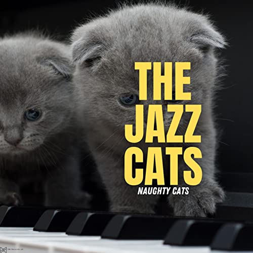 Scratches On The Sofa