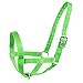 Derby Originals Adjustable Nylon Livestock Cattle Halters (Lime Green, ‎Large (800-1400lbs))