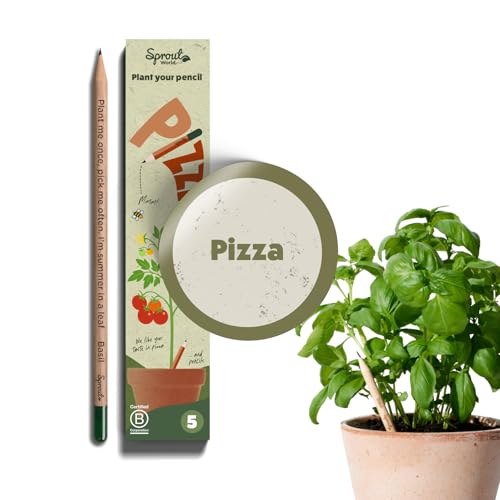 Sprout World Bleistifte | Pizza Edition | Pflanzbare Bleistifte mit Kräuter- und Gemüsesamen (Chili, Basilikum, Oregano, Rucola und Cherrytomate) | 5er-Pack | Nachhaltiges Geschenk für Pizzaliebhaber