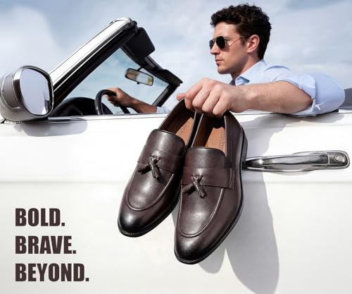 Image of LOUIS STITCH Men's Shoes Tassel Style Comfortable Moccasins for Men (RGMCPLTA)