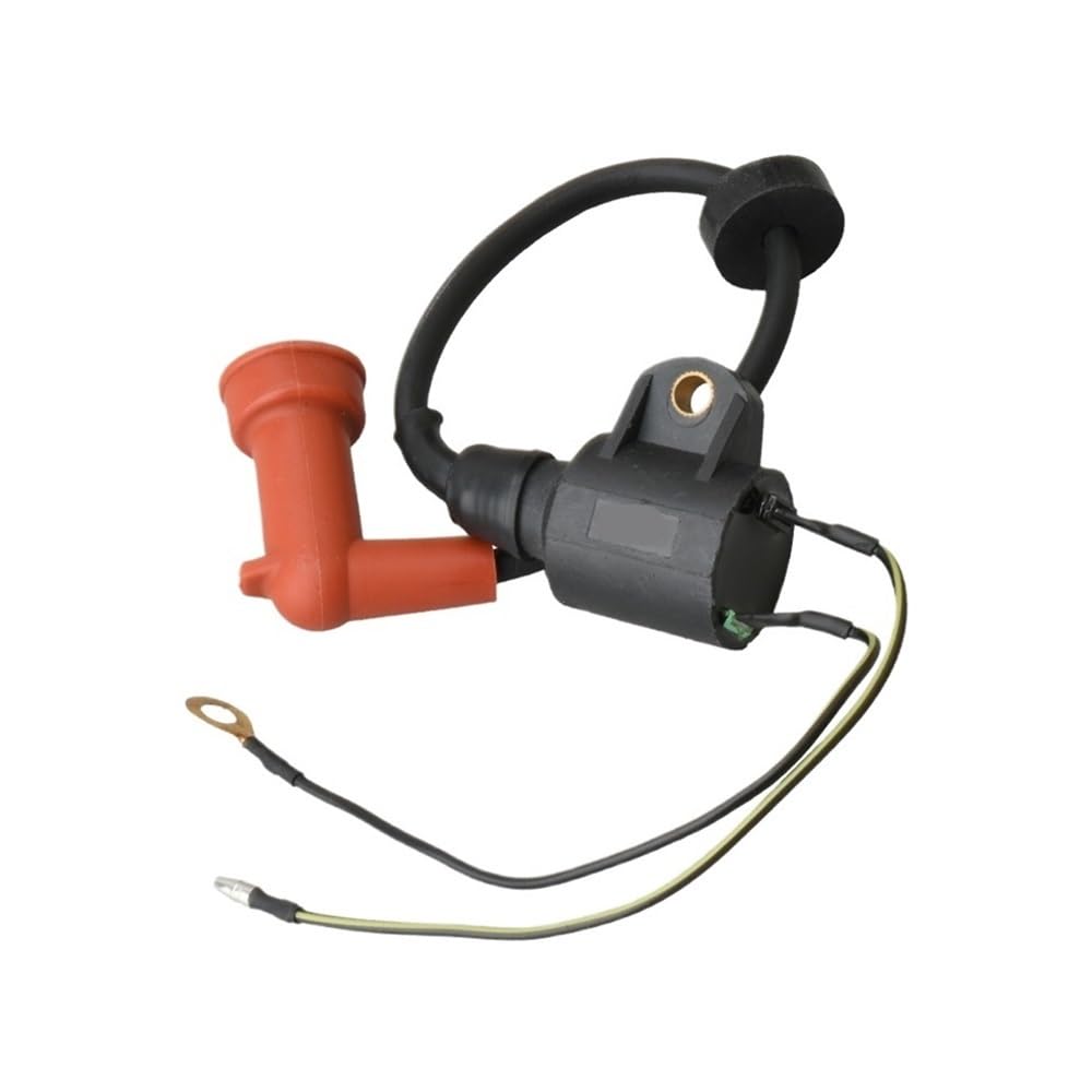 Bobine d'allumage pour moteur de bateau de pêche et loisirs 2 temps 9.9 CV