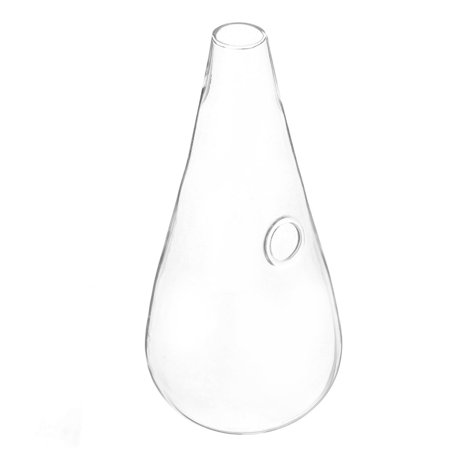 TOPBATHY JarróN De Vidrio Transparente Colgante para Pared, Florero HidropóNico con Agua Y Cristal, DecoracióN De Pared para Hogar Y JardíN