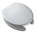 Commercial Plastic Elongated Toilet Seat