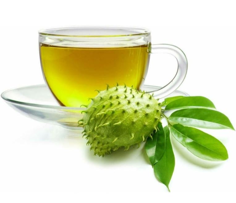 Soursop Leaves For Cancer (100+ Leaves) (B0CH3TNFTW) Amazon Price History, Amazon Price Tracker