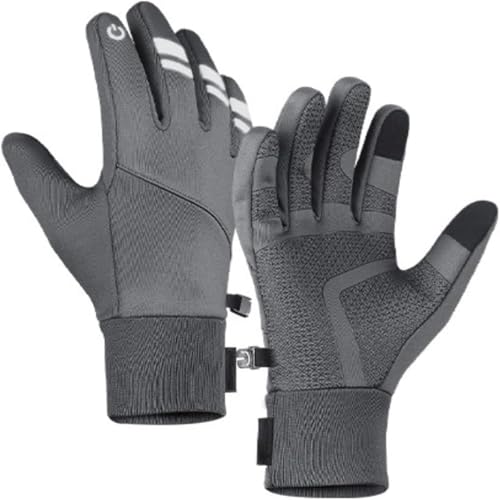 [raisme] h TCNO[u X}zΉ ]Ԏ N Y h H ~ ˃fUC H t ~ [hoCN g TCNO AEghA ʋΒʊw jO oR X|[c Ռz jp (O[, 