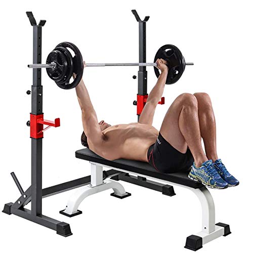 quistrepon Barbell Rack, 550Lbs Max Load Adjustable Squat Stand, Dipping Station Weight Bench Adjustable for Gym/Home Gym Black