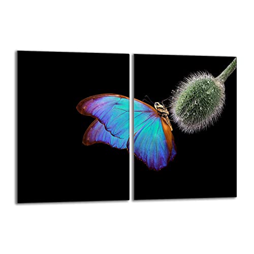 Preisvergleich Produktbild Herdabdeckplatten Set 2x40x52 cm Ceranfeld Abdeckung Glas Spritzschutz Abdeckplatte Glasplatte Herd Ceranfeldabdeckung Deko, Schmetterling Bunt