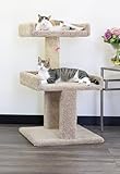 New Cat Condos Spacious Cat Perch for Large Cats
