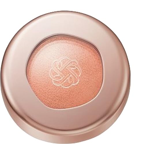 R[Z[ RXfRe COSME DECORTE ACOEWF XLVhE Silky Matte 6g ACVhE 30M bitter orange