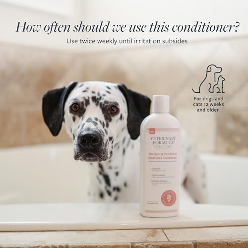 Image of Veterinary Formula Clinical Care Hot Spot & Itch Relief Conditioner, 16 oz