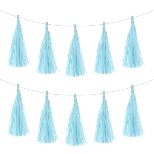 MECCANIXITY 25Pcs Light Blue Tassel Garland Banner with Rope Tissue Paper Tassels Party DIY Kits for Anniversary Wedding Birthday Party