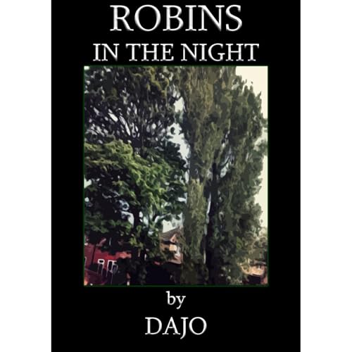 Robins in the Night Audiolibro Por Dajo Jago arte de portada