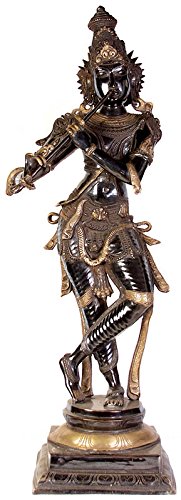 Exotic India Why is Krishna Black? (Large Size)