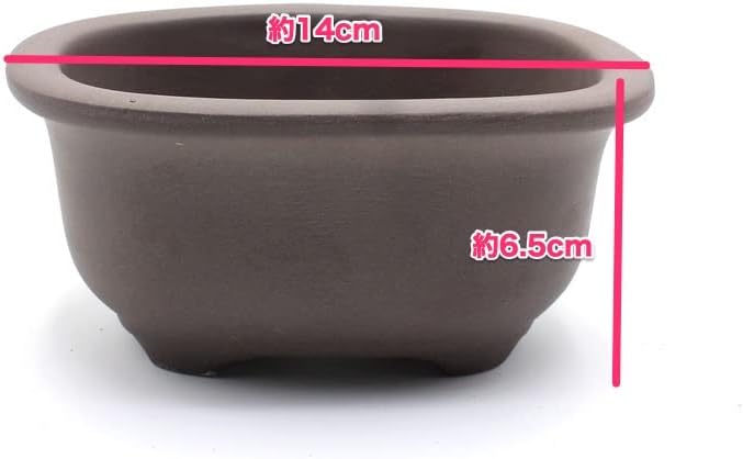Miniatura 2 de Olla para bonsái Seto-Yaki de cerámica ovalada con borde (5.7 pulgadas, sin esmaltar)