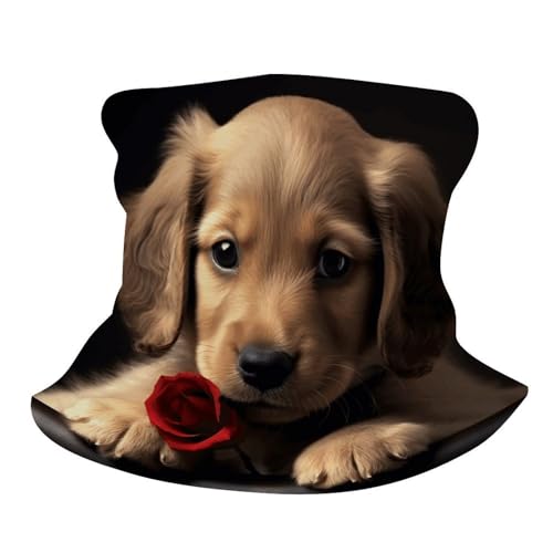 Neck Gaiter Face Mask Men Women, Cute Parrots Face Mask Scart Cover for Dust Wind Sun Protection