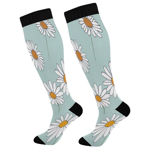 Burbuja Daisy Flowers Compression Socks for Women Men (20-30mmHg), Knee High Socks Circulation Support for Sport Running Hiking Nurse, 1 Pair