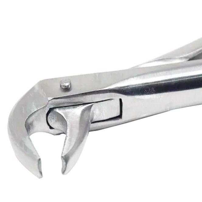Waldent Tooth Extraction Forceps Lower Molars/Mandibulars, No.73 (1/110) (B0CC2KRLSQ) Amazon Price History, Amazon Price Tracker