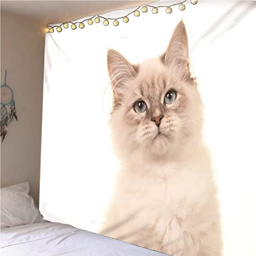 Tissu pour couvertures Isdreem chat mignon 300x250cm avec tenture murale