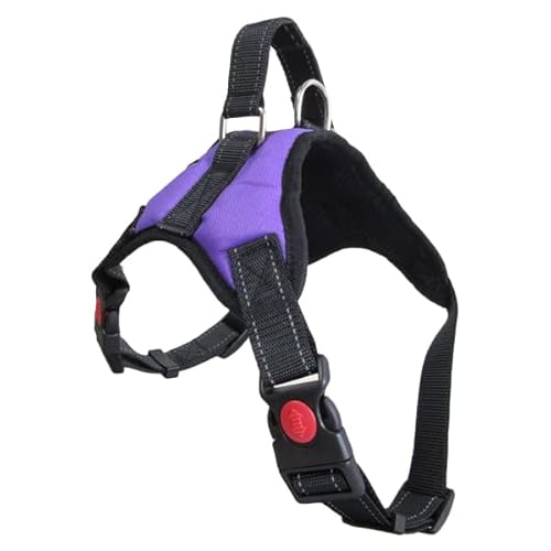  n[lX ^ ^ ^ pn[lX  EȂ 킢 ȒP SȂ s⏕ V   p[v LTCY