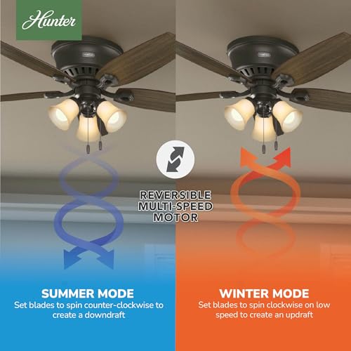 Image of Hunter Builder, Indoor, Ceiling Fan, with LED Lights, 52 inch, New Bronze