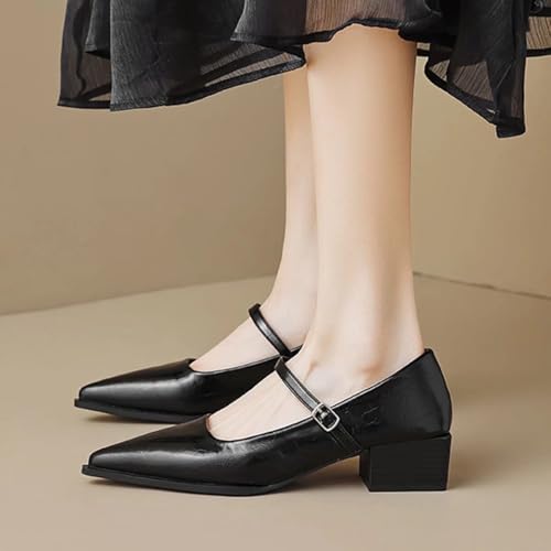 JOEupin Women's Low Chunky Heel Dress Mary Jane Shoes Pointed Toe Ankle Strap Block Heel Formal Pumps3