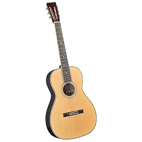 Blueridge BR-371 Historic Series Parlor Guitar AR[XeBbNM^[ ARM M^[ (sA)