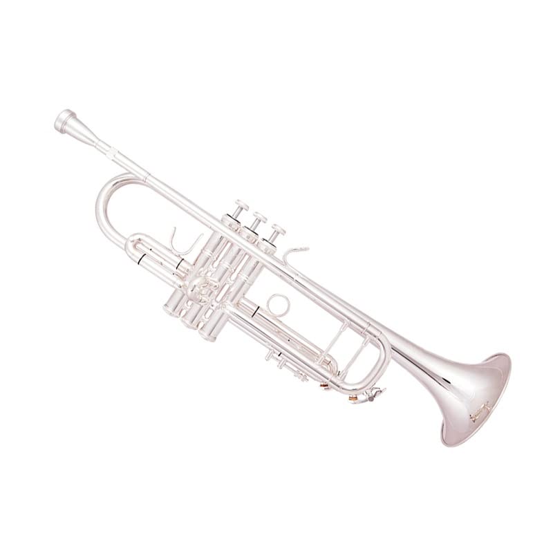 początkujących trąbka Posrebrzana Trąbka Bb Mosiężne Trąbki Muzyczne Instrumenty Dęte Blaszane Trąbka Bb Z Ustnikiem Etui Na Rękawiczki Trąbka (Color : 02)