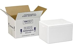 Polar Tech 245C Thermo Chill Insulated Carton with Foam Shipper: Dry Ice Shipping Made Easy
