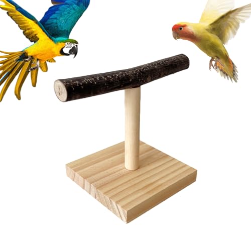 Parrot T Perch, Vogel Spielständer, T-Förmiger Vogelsitz – 15×12 cm Holz-Perch, modular, stabil & interaktiv, umweltfreundlich, Perfekter Ruhe‑ und Spielplatz für