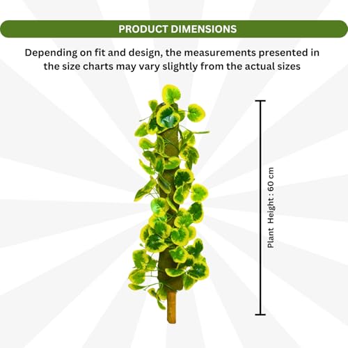 Image of fancymart Artificial Leaves Vine on Moss Stick 60 cm (Without Pot) | Decorative Indoor Plant for Home, Office, Cafe & Restaurant