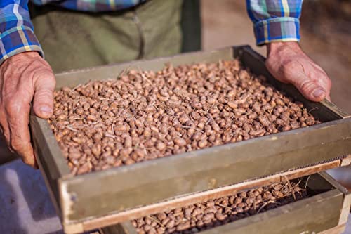 vinativo Erdmandel BIO – Tigernuss gemahlen – 1kg – zertifizierte Bio-Qualität – 100% pflanzlich – bio Chufas