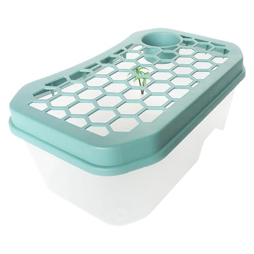 Tanque de tortuga para sala de estar que decora tu escritorio y hogar con estilo 2