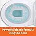 Amazon Basics Toilet Bowl Cleaner with Cling Action Formula, Bleach, Fresh Scent, 24 Fl Oz, Pack of 1