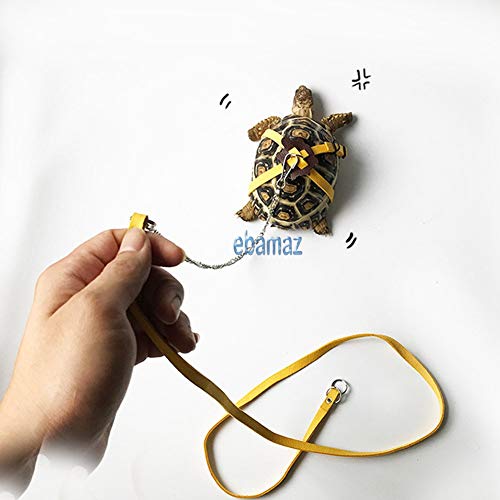Ebamaz Leder Geschirr für Schildkröte mit Leine und Brusthalsband (Größe M)