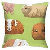 Ingredienti: 100% poliestere Fodere per Cuscini di tiro di porcellini d\'India di Varie Razze 18x18 Pollici Federa per Esterni Fodera per Cuscino Fodera per Cuscino per