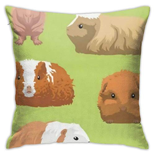 Ingredienti: 100% poliestere Fodere per Cuscini di tiro di porcellini d\'India di Varie Razze 18x18 Pollici Federa per Esterni Fodera per Cuscino Fodera per Cuscino per