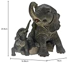 Lesser & Pavey B00INY22IS lato 3