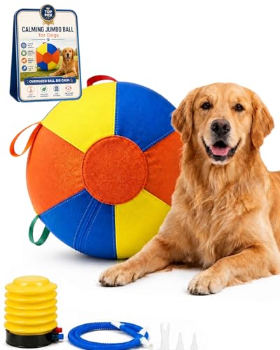 10/18/22 Herding Ball for Dogs Durable Tear Resistant Inflatable Jumbo Calming Toy Heavy Duty Handle Cover Pump Outdoor Play Exercise Training Large Breeds Border Collie Cattle Dog Waterproof (10IN)