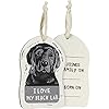 Primitives by kathy wooden hanging ornament 2 sided i love my black lab  urban country home decor