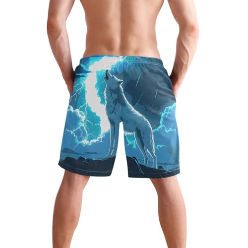 Men's Novelty Beach Shorts Wolf Blue Sky Wolves Swim Trunks Quick Dry Swimtrunks Mesh Lining Bathing Suit3